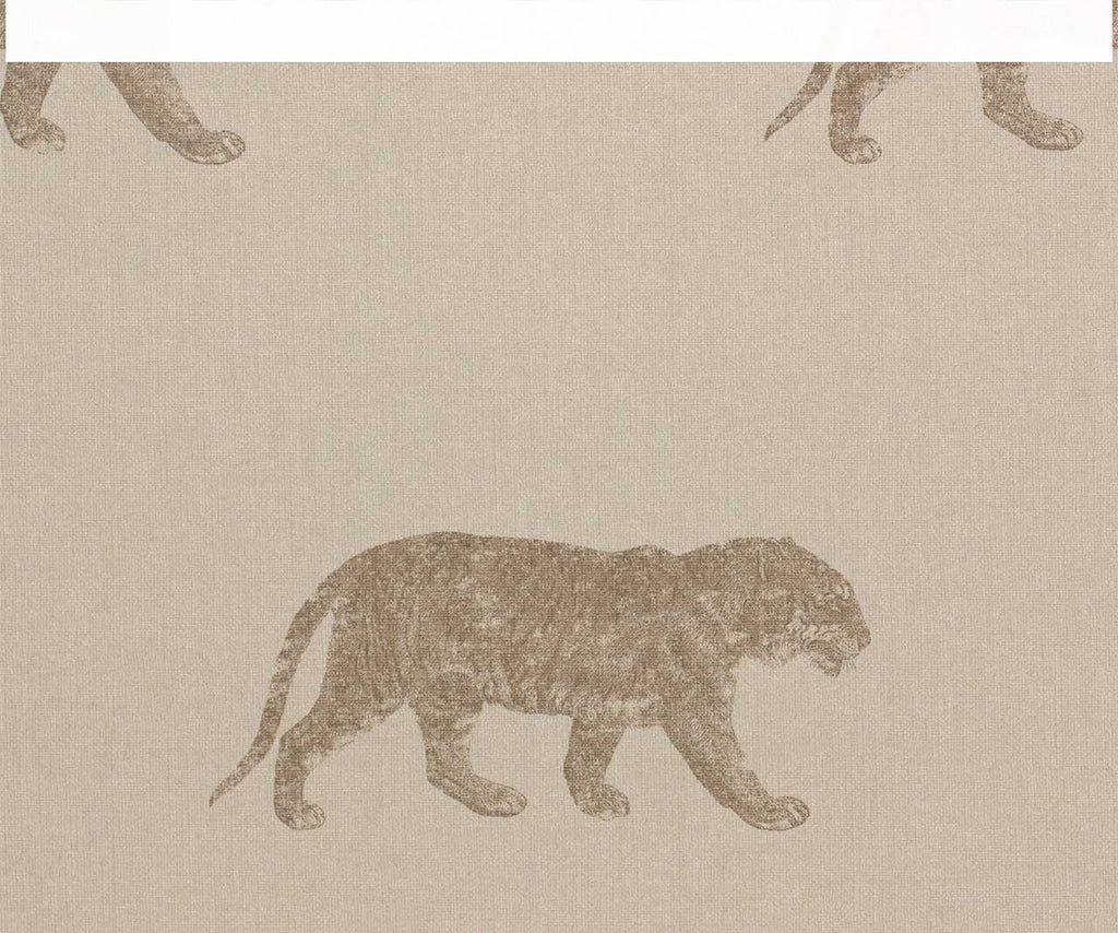 Cheetahs