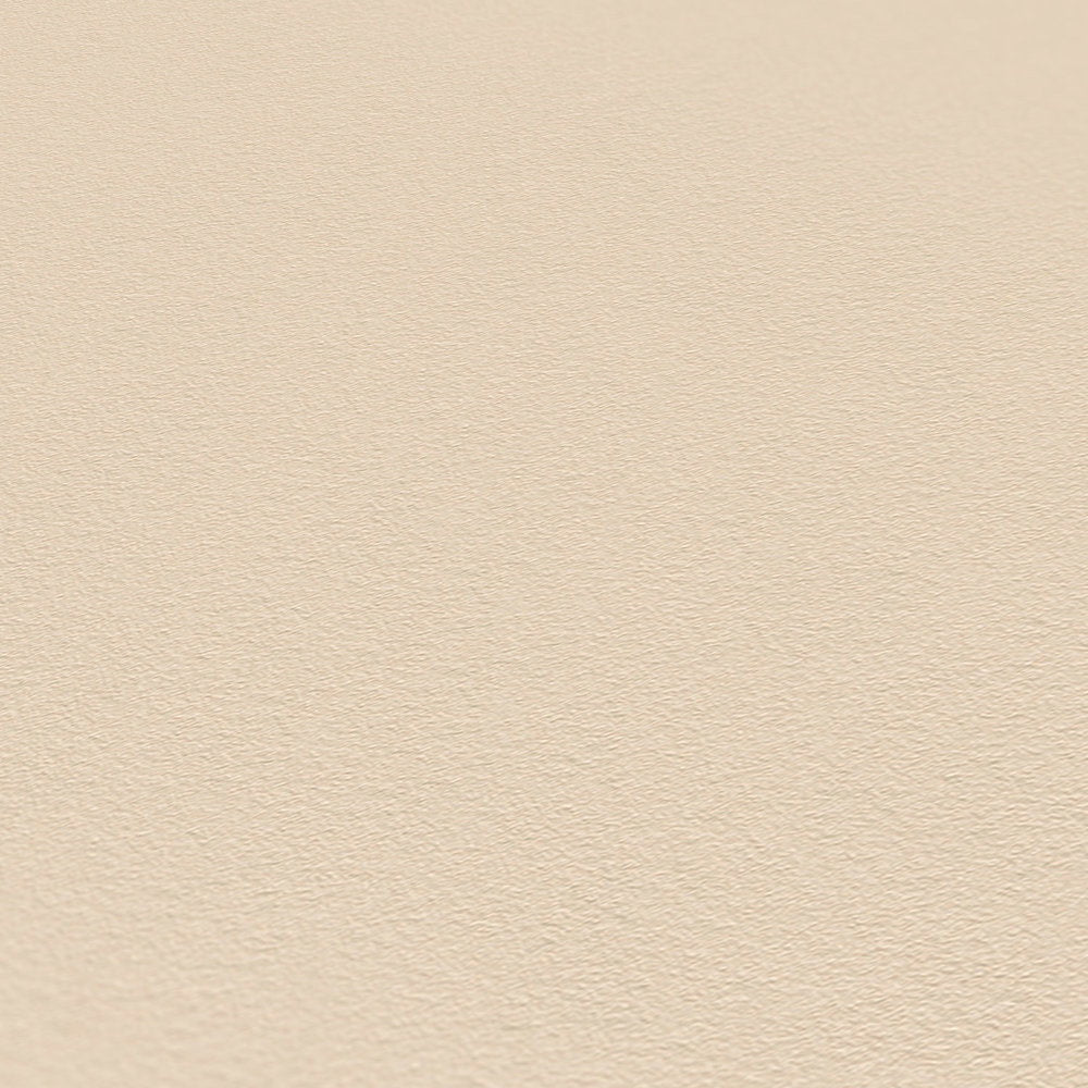 Styleguide Nature 2027 Beige Wallcovering | AS Creation