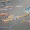 Pintwalls Ii Gray Wallcovering | AS Creation