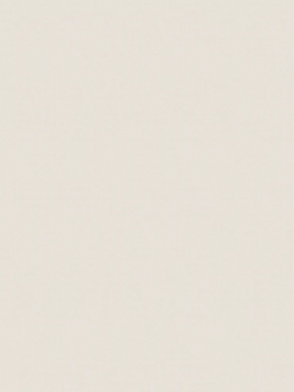 Elite of Shades Beige Wallcovering | AS Creation