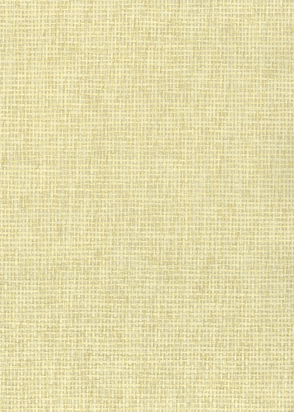 Darien-Rice Paper Weave Wallcovering | Phillipe Romano