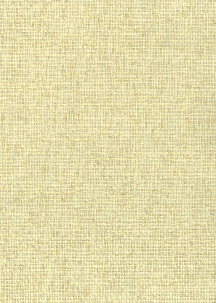 Darien-Rice Paper Weave Wallcovering | Phillipe Romano — PWV-500020