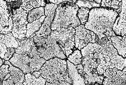Crackle | Coordone Europe