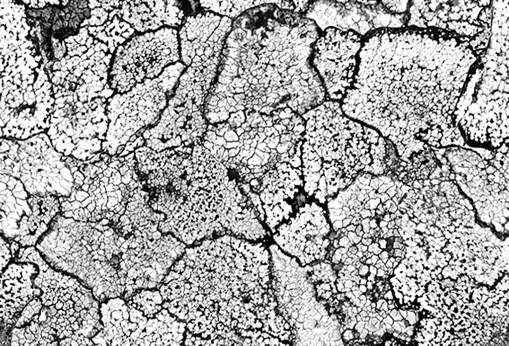 Crackle