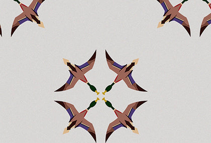 Ducks in Flight  - El Baile | Coordone Europe