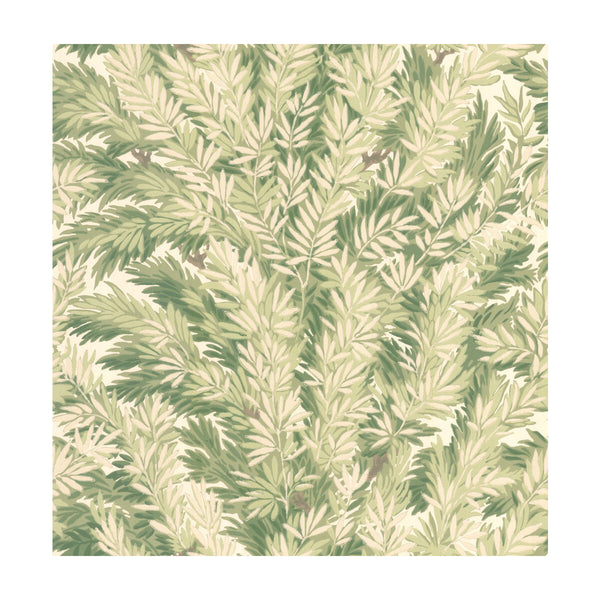 Florencecourt - Olive | Cole & Son