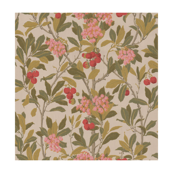 Strawberry Tree - Pink & Linen  By Cole & Son | Cole & Son Archive Anthology |Botanical & Floral  Wallcovering Print