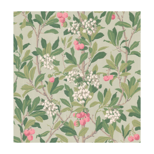 Strawberry Tree - Pink & Duck Egg  By Cole & Son | Cole & Son Archive Anthology |Botanical & Floral  Wallcovering Print