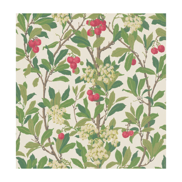 Strawberry Tree - Scarlet & Ivory  By Cole & Son | Cole & Son Archive Anthology |Botanical & Floral  Wallcovering Print