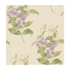 Madras Violet - Olive & Lavender  By Cole & Son | Cole & Son Archive Anthology |Botanical & Floral  Wallcovering Print