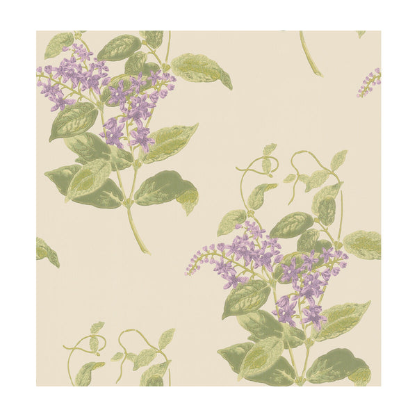 Madras Violet - Olive & Lavender  By Cole & Son | Cole & Son Archive Anthology |Botanical & Floral  Wallcovering Print