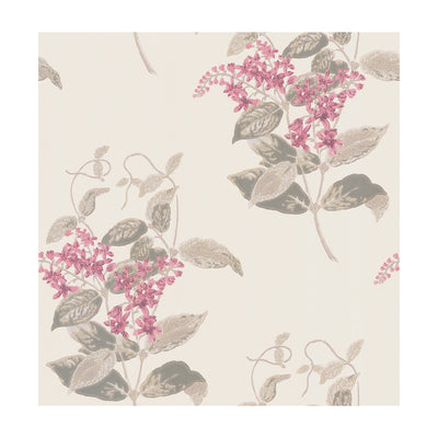 Madras Violet - Pink | Cole & Son