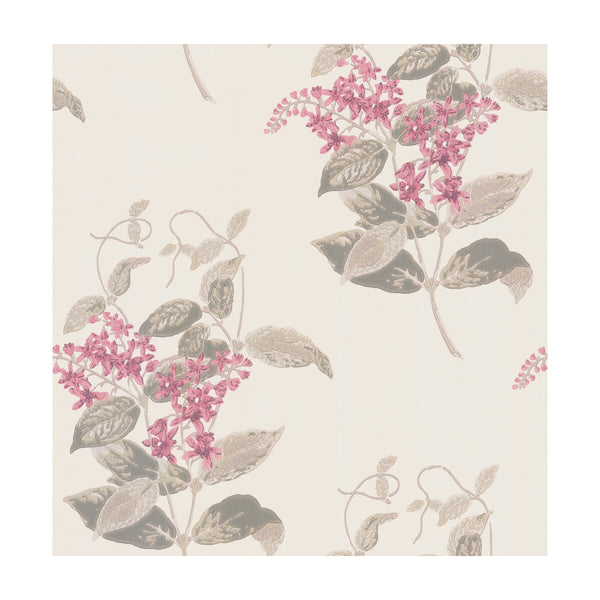 Madras Violet - Pink   By Cole & Son | Cole & Son Archive Anthology |Botanical & Floral  Wallcovering Print