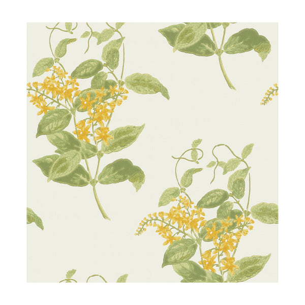 Madras Violet - Yellow  By Cole & Son | Cole & Son Archive Anthology |Botanical & Floral  Wallcovering Print