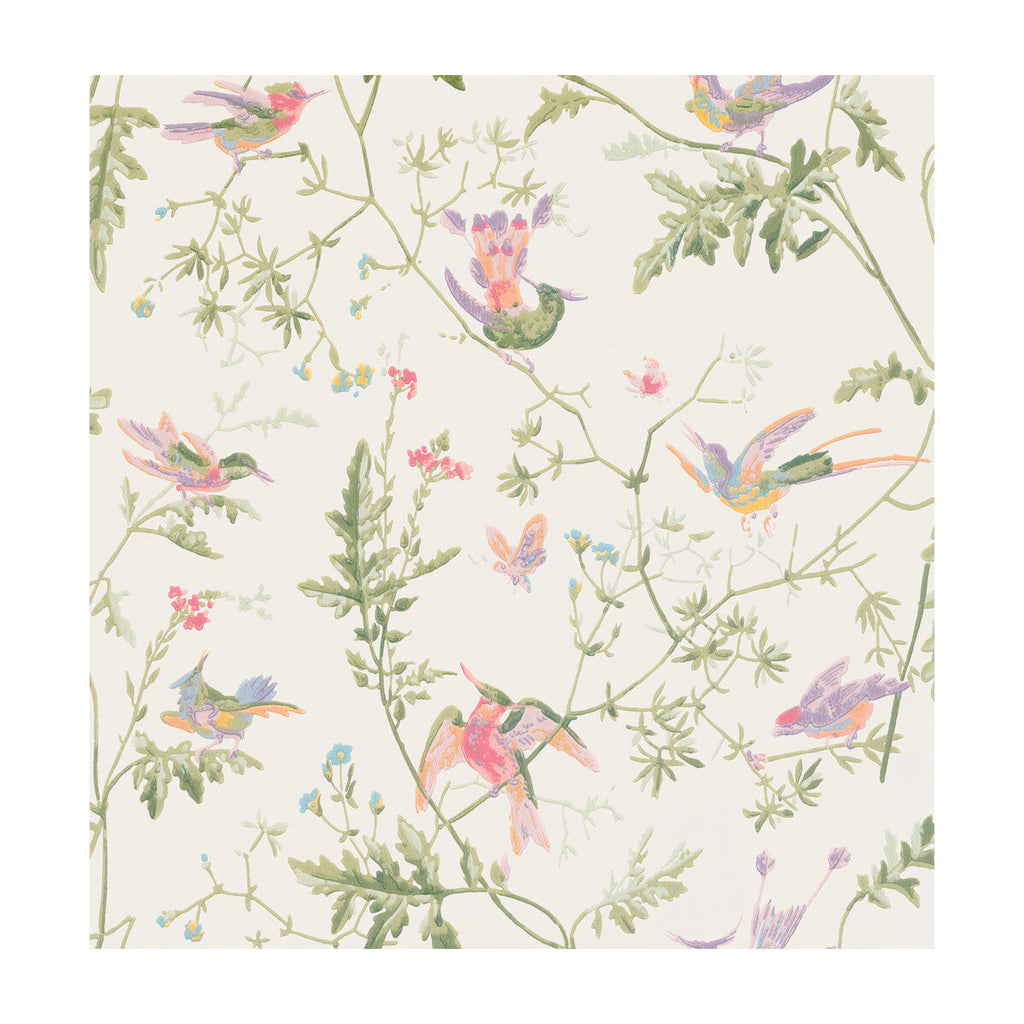 Hummingbirds - Soft Multi-Colour  By Cole & Son | Cole & Son Selection Of Hummingbirds |Animal/Insects Botanical & Floral Wallcovering Print