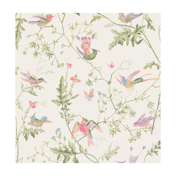 Hummingbirds - Soft Multi-Colour  By Cole & Son | Cole & Son Selection Of Hummingbirds |Animal/Insects Botanical & Floral Wallcovering Print