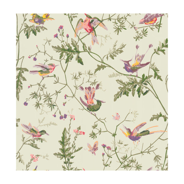 Hummingbirds - Green Multi-Colour | Cole & Son