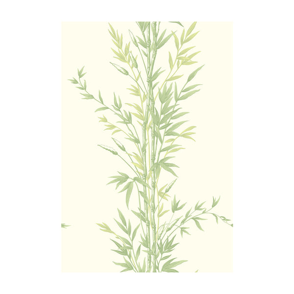 Bamboo - Green | Cole & Son