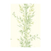 Bamboo - Green  By Cole & Son | Cole & Son Archive Anthology |Botanical & Floral  Wallcovering Print