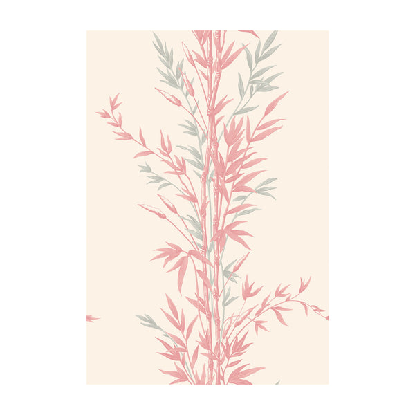 Bamboo - Pink  By Cole & Son | Cole & Son Archive Anthology |Botanical & Floral  Wallcovering Print