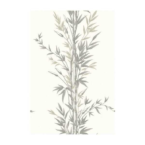 Bamboo - Charcoal | Cole & Son