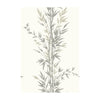 Bamboo - Charcoal  By Cole & Son | Cole & Son Archive Anthology |Botanical & Floral  Wallcovering Print