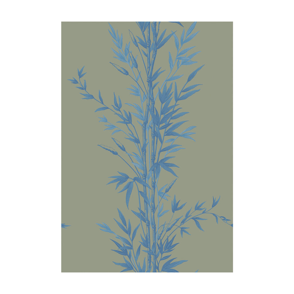 Bamboo - Blue On Khaki  By Cole & Son | Cole & Son Archive Anthology |Botanical & Floral  Wallcovering Print