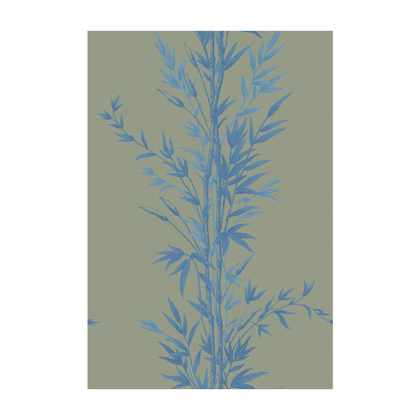 Bamboo - Blue On Khaki  By Cole & Son | Cole & Son Archive Anthology |Botanical & Floral  Wallcovering Print