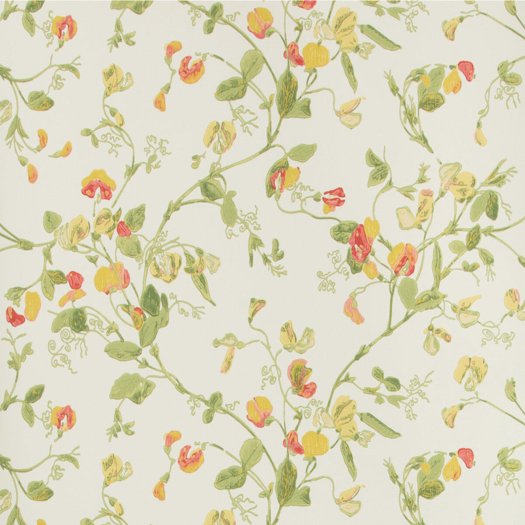 Sweet Pea - Pink & Yellow  By Cole & Son | Cole & Son Archive Anthology |Botanical & Floral  Wallcovering Print