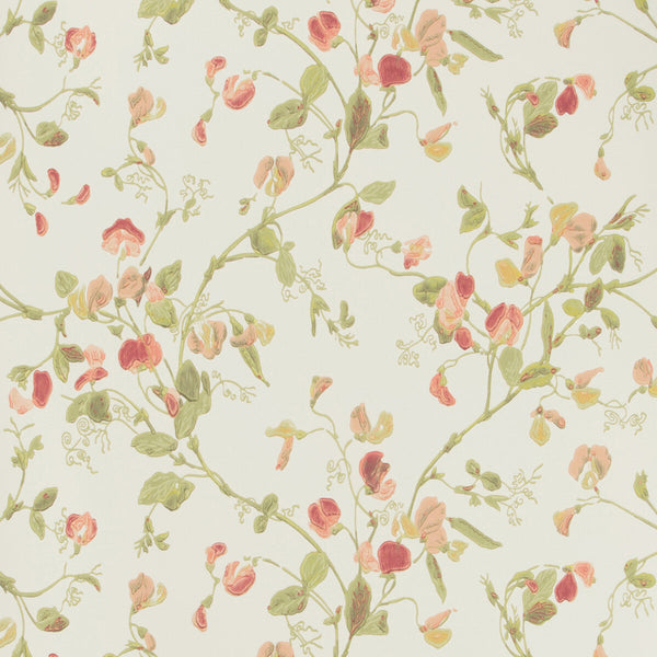 Sweet Pea - Pink | Cole & Son