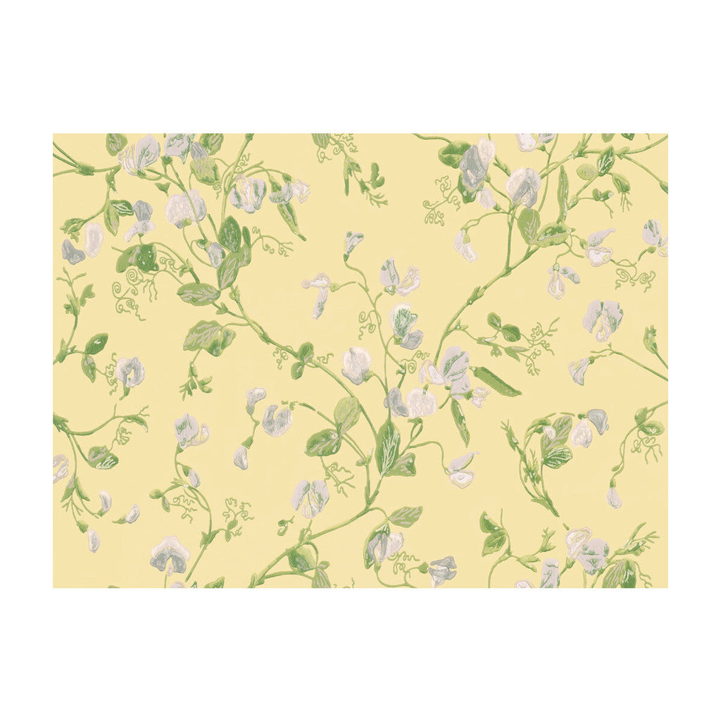 Sweet Pea - Yellow  By Cole & Son | Cole & Son Archive Anthology |Botanical & Floral  Wallcovering Print