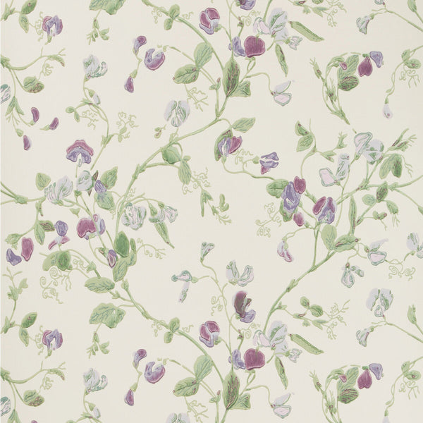 Sweet Pea - Violet | Cole & Son