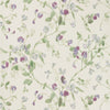 Sweet Pea - Violet  By Cole & Son | Cole & Son Archive Anthology |Botanical & Floral  Wallcovering Print