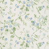 Sweet Pea - Blue  By Cole & Son | Cole & Son Archive Anthology |Botanical & Floral  Wallcovering Print