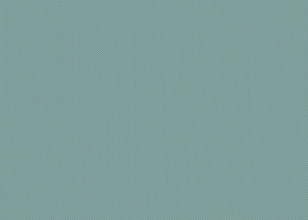 Sport Fabric - Color 208 | Carnegie