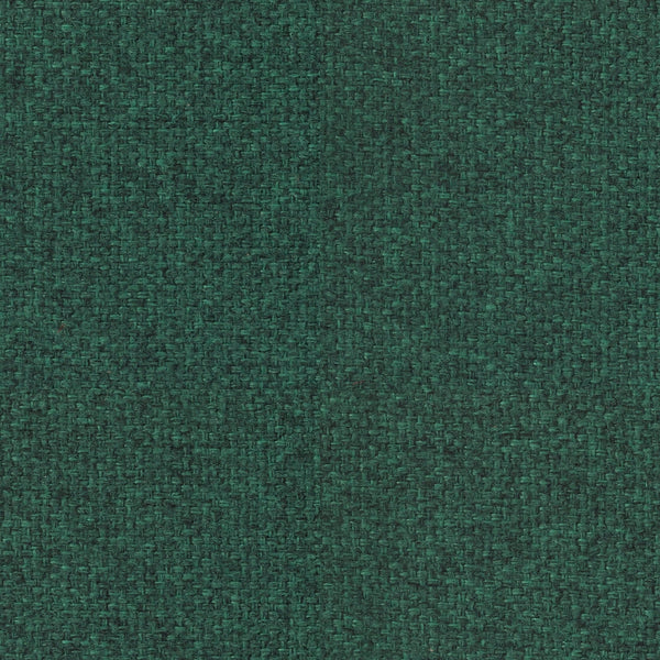 Carnegie Alex — Forest