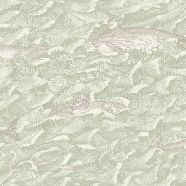 Melville - Green | Cole & Son