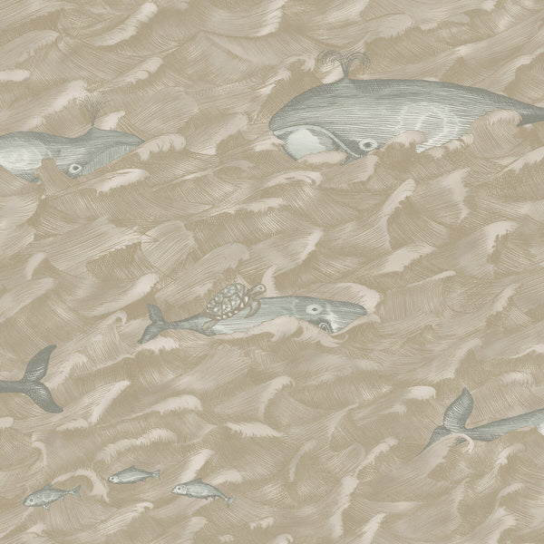 Melville - Pearl | Cole & Son