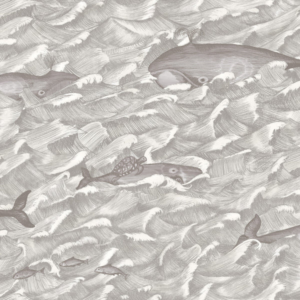 Melville - Sft Blk&Wht | Cole & Son