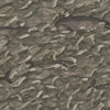 Melville Mt - Charcoal  By Cole & Son | Cole & Son Whimsical | Animal/Insects Wallcovering Print