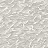 Columbus - Black &White  By Cole & Son | Cole & Son Whimsical | Novelty Wallcovering Print
