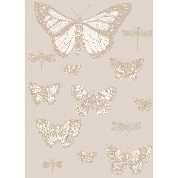Butterflies & Dragonflies - Grey | Cole & Son