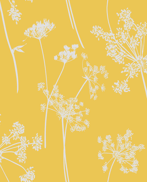 Anthriscus Summer Wallcovering | Graham & Brown