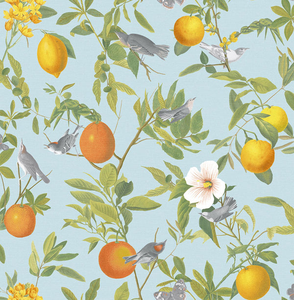 Amalfi Cielo Wallcovering | Graham & Brown