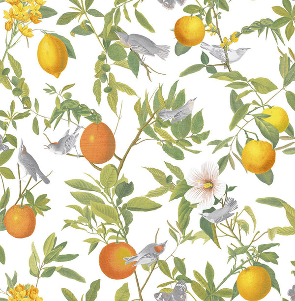 Amalfi White Wallcovering | Graham & Brown