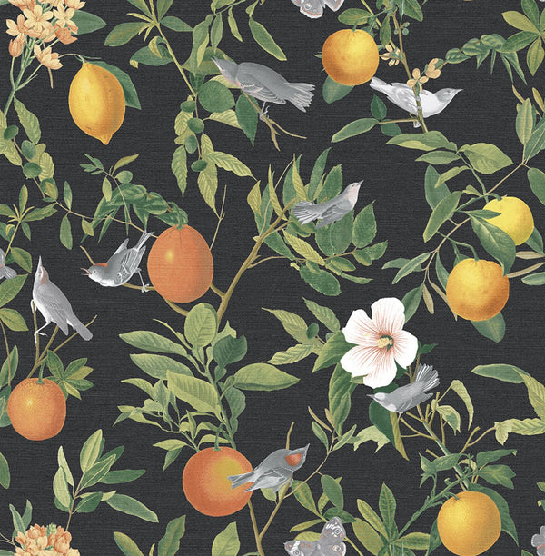Amalfi Umore Wallcovering | Graham & Brown