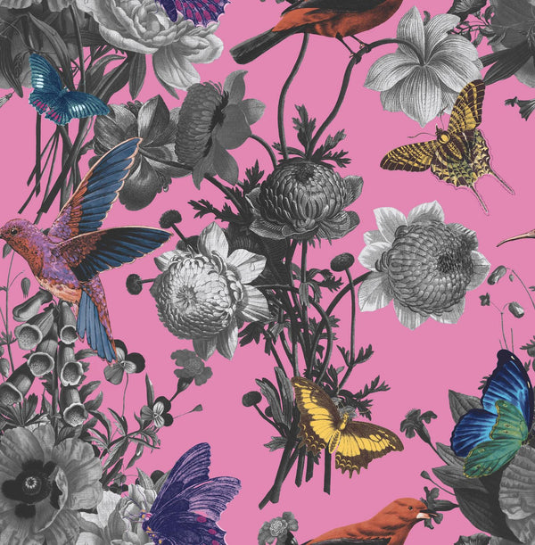 Jardin Magenta Wallcovering | Graham & Brown