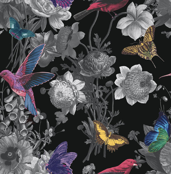 Jardin Black Wallcovering | Graham & Brown