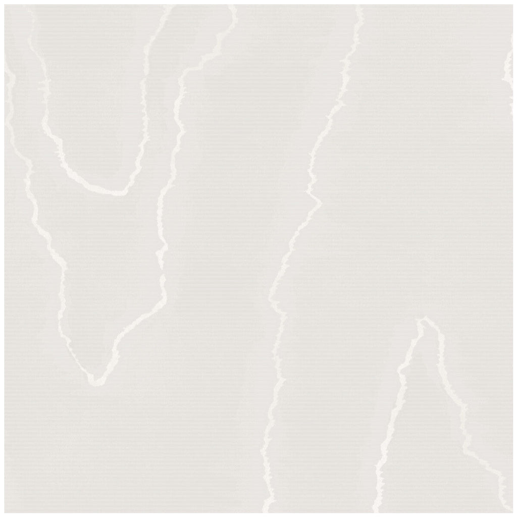 Watered Silk - Silver Light Grey By Cole & Son | Cole & Son Landscape Plains |  Wallcovering Print