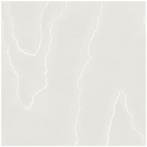 Watered Silk - Silver Light Grey By Cole & Son | Cole & Son Landscape Plains |  Wallcovering Print